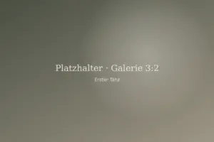 Platzhalter: Brautpaar beim ersten Tanz am Abend